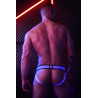 Breedwell Jockstrap EXPOSER Blanc